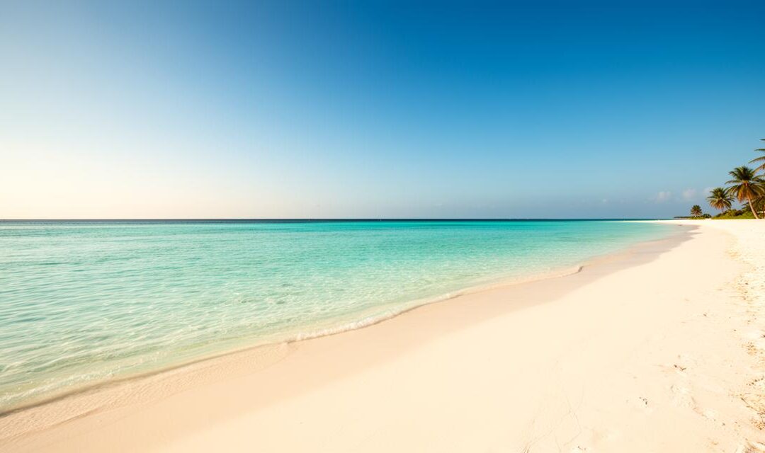 Understanding the Climate in the Maldives in February: Your Guide to Environmentally-Friendly Whale and Shark Watching